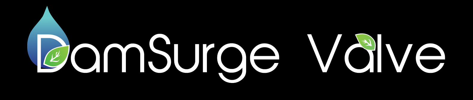 DamSurge Valve Logo